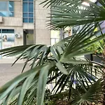 New Baazar Terrace Apartment