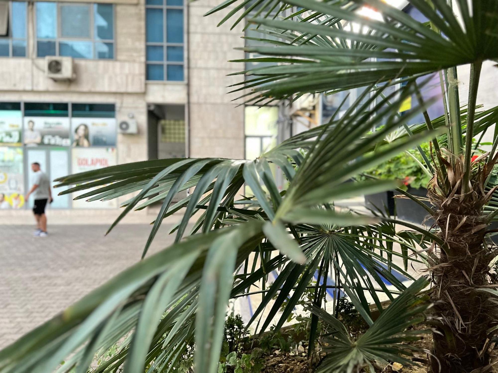 New Baazar Terrace Appartamento Tirana